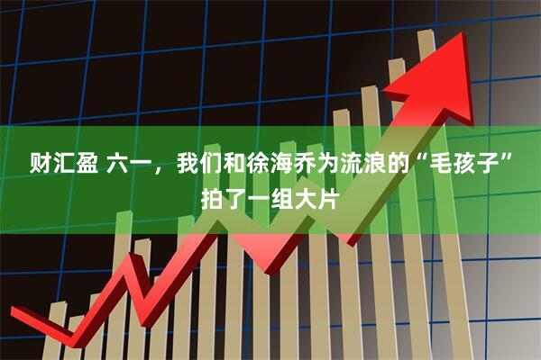 财汇盈 六一，我们和徐海乔为流浪的“毛孩子”拍了一组大片