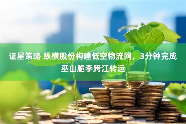 证星策略 纵横股份构建低空物流网，3分钟完成巫山脆李跨江转运