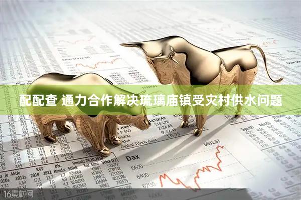 配配查 通力合作解决琉璃庙镇受灾村供水问题