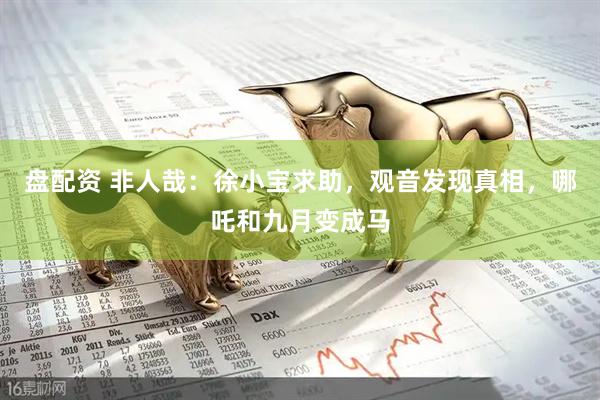 盘配资 非人哉：徐小宝求助，观音发现真相，哪吒和九月变成马